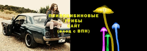 СК Заволжск