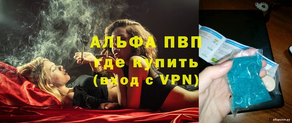 сатива Белокуриха