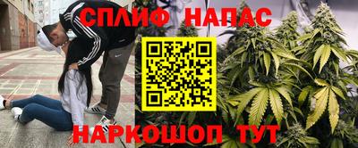PSILOCYBIN Балаково