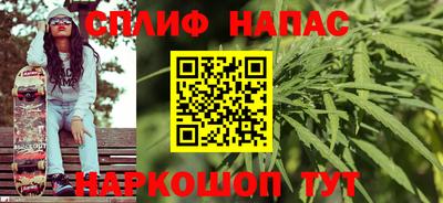 стаф Гатчина