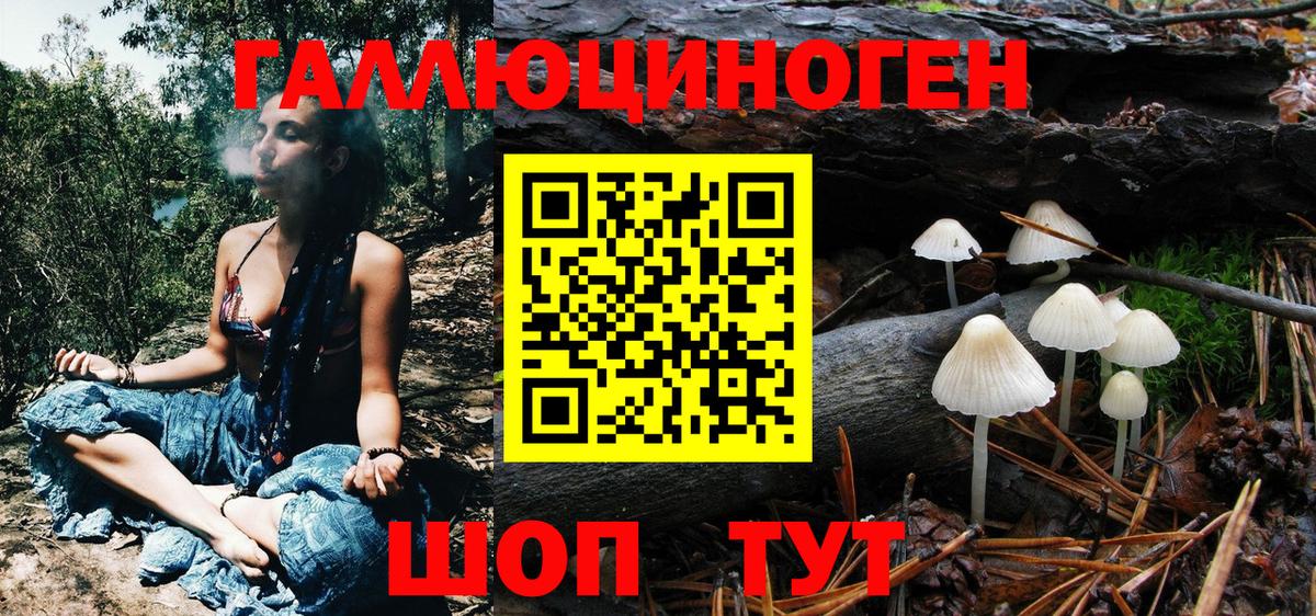 Вятские Поляны  Псилоцибиновые грибы мухоморы  Вход с VPN 