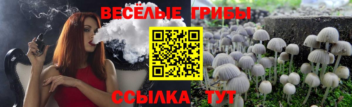 Галлюциногенные грибы Psilocybine cubensis Вятские Поляны